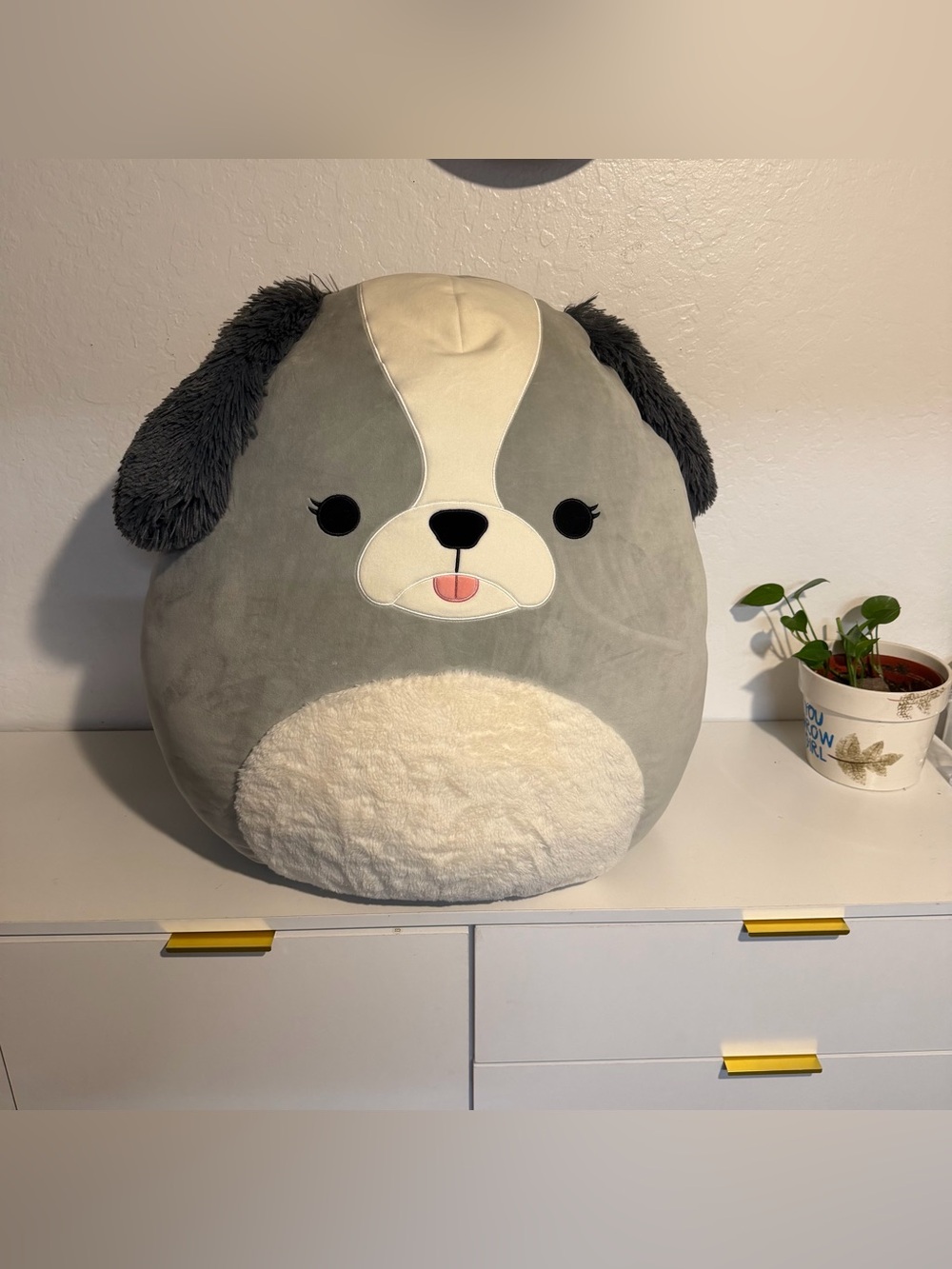 Jumbo Squishmallows Gray & Cream Plush Dog Pet Pillow 24”